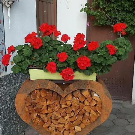 Hotel Florian